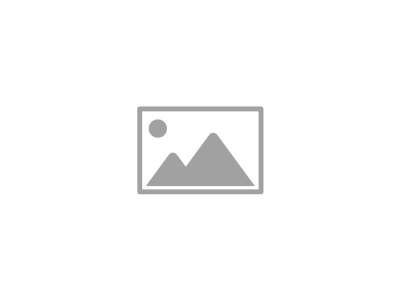 Company Profile