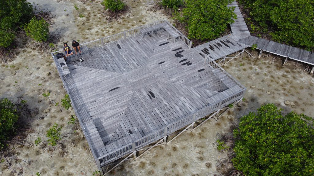 Cerita dari hutan mangrove